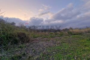 Terreno - Santa Venerina