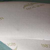 Cuscino letto Aloe vera