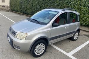Panda 4x4 ben tenuta