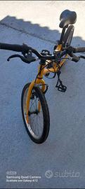 Bicicletta 20