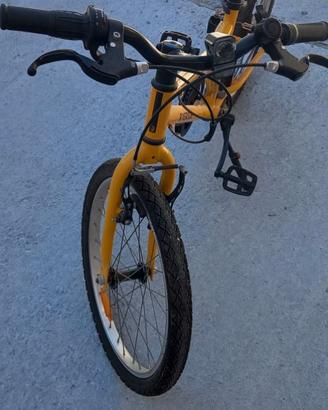 Bicicletta 20