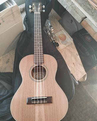 ukulele 