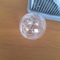 Palla trasparente per criceti