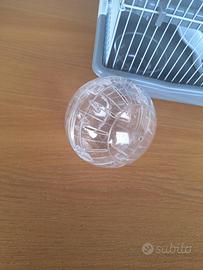 Palla trasparente per criceti