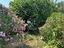 Immagine 14