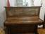 Immagine 2