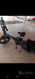 Bicicletta elettrica