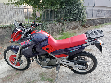 Kawasaki kle