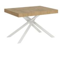 Tavolo allungabile 120x80/204