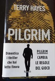 Terry Hayes (romanzo) - Pilgrim