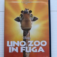 Dvd “uno zoo in fuga”