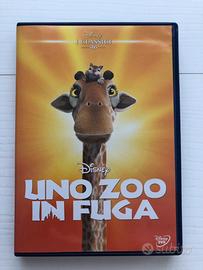 Dvd “uno zoo in fuga”