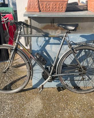 Colnago Sport