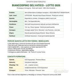 semi di bosco. 