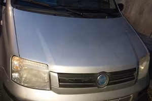 Panda 2007