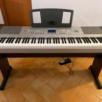 Tastiera DGX 640 (pezzi ricambio)