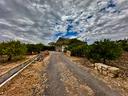 agrumeto-con-casa-a-valcorrente