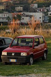 Panda Fiat