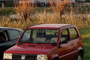 Panda Fiat