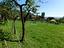 Immagine 26