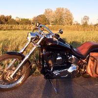 Harley-Davidson Softail 1450 carburatore