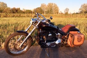 Harley-Davidson Softail 1450 carburatore