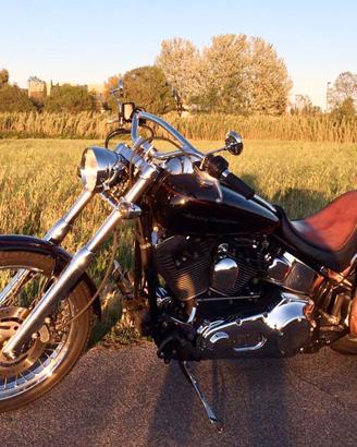 Harley-Davidson Softail 1450 carburatore