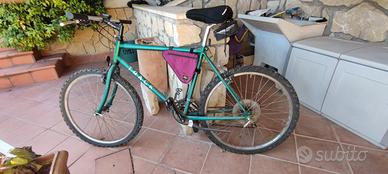bicicletta mountain bike track