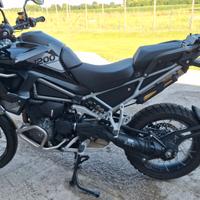 Triumph Tiger Rally Pro