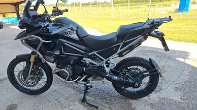 Triumph Tiger Rally Pro