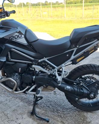 Triumph Tiger Rally Pro