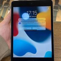 Apple iPad mini 4 gray 128 GB - 7908