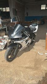 Moto r6