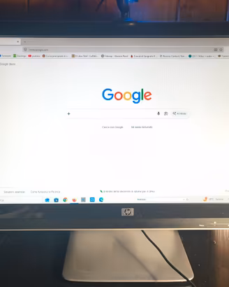 monitor HP 2009v