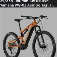bici elettrica ebike 