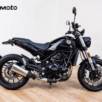BENELLI LEONCINO 500 - 2024