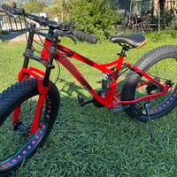 Bici con sospensioni