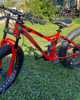 Bici con sospensioni