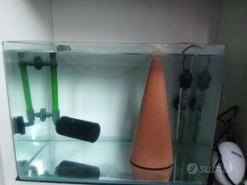 vasca dz riproduzione scalari discus