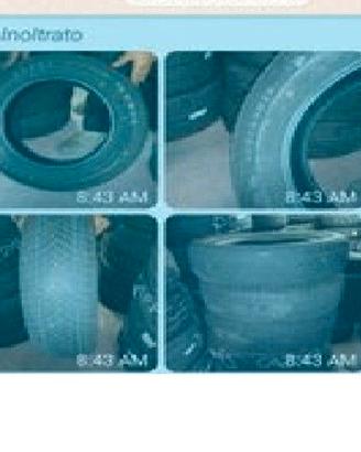 gomme invernali