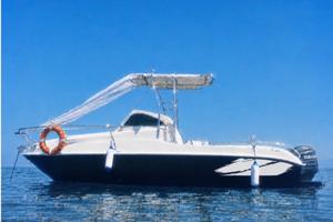 Blumax 21 cabinato Yamaha 115