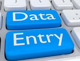 Data Entry (Smart Working)