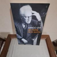 Un paese non basta - Arrigo Levi