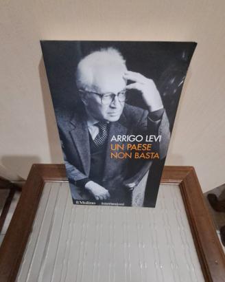 Un paese non basta - Arrigo Levi
