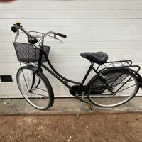 Bicicletta con cestino