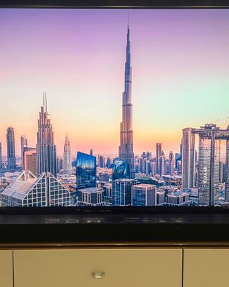 smartv lg oled 65 pollici