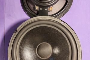 COPPIA DI WOOFFER CIARE