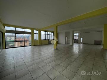 NEGOZIO A OLGIATE MOLGORA