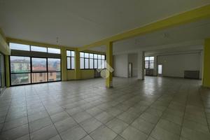 NEGOZIO A OLGIATE MOLGORA