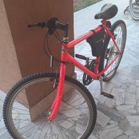 Mountain Bike Trubbiani